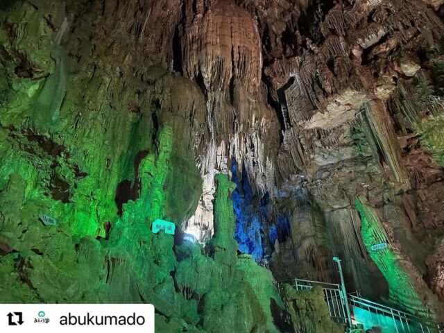 公式】日本観光鍾乳洞協会 | 幻想の地下世界、鍾乳洞を巡る旅